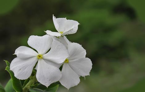 免费w视频带叫的免费聊天