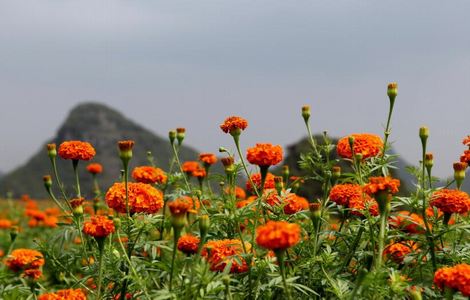 分娩生孩子过程视频