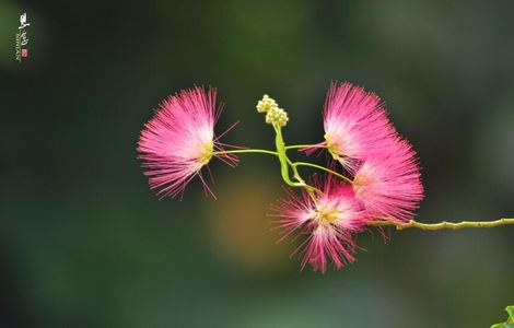 吃胸吃边膜60分钟视频