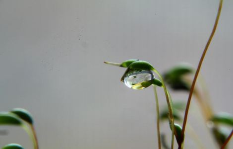 同城上门300快一次