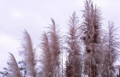 大腿两侧潮湿黏糊糊