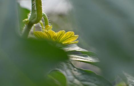 如何跟女孩子找话题聊天