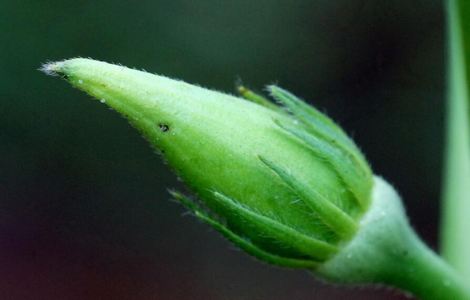 学校停电我插班花高清视频