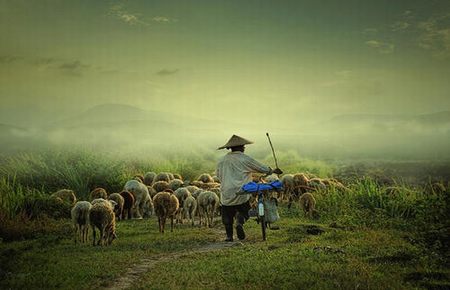 渣男渣女在酒店谈恋爱