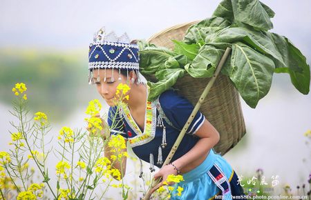 萧驰野沈泽川车微博