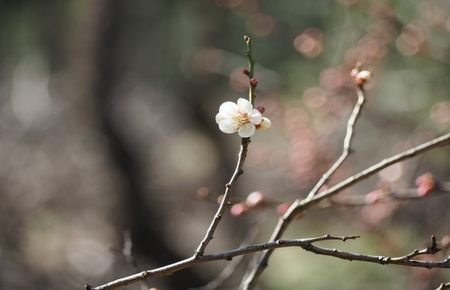 蛇根两个撑满hl笔趣阁